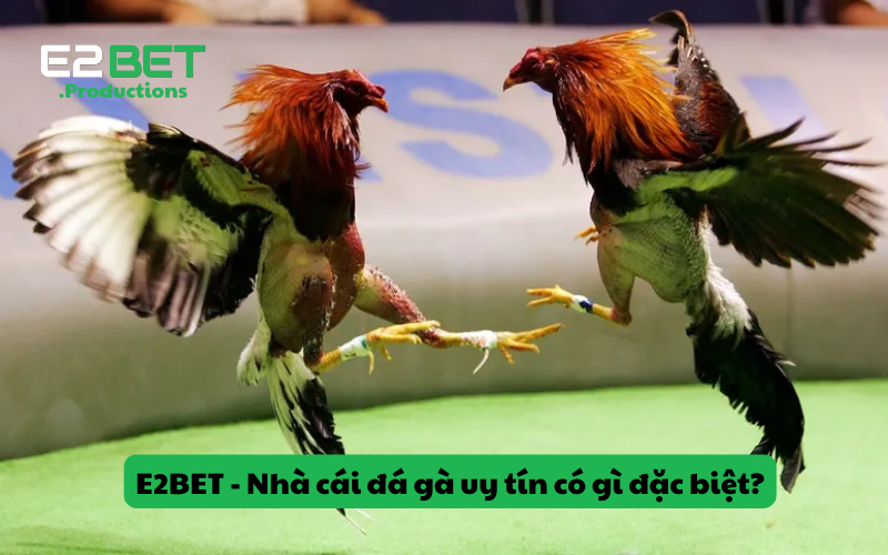 E2BET - Nhà cái đá gà uy tín có gì đặc biệt?